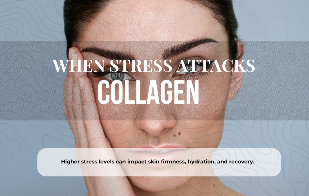 WHEN STRESS ATTACKS COLLAGEN. Higher stress levels can impact skin firmness, hydration, and recovery.